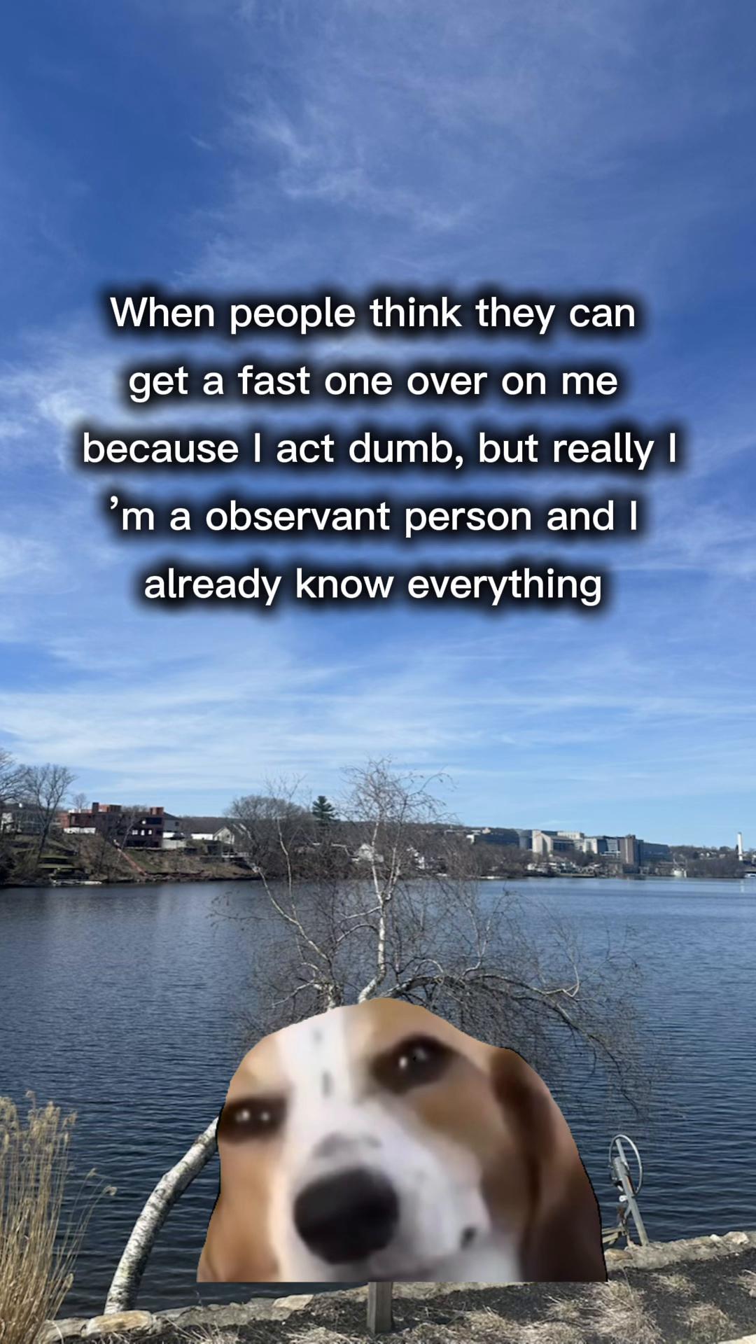 @Quotes.Memes.Queen