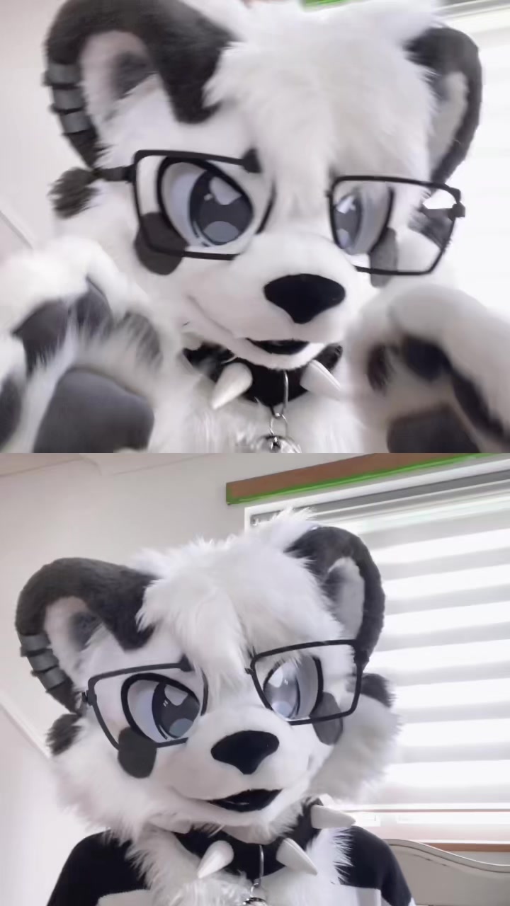 @🎬Lykoi🐾