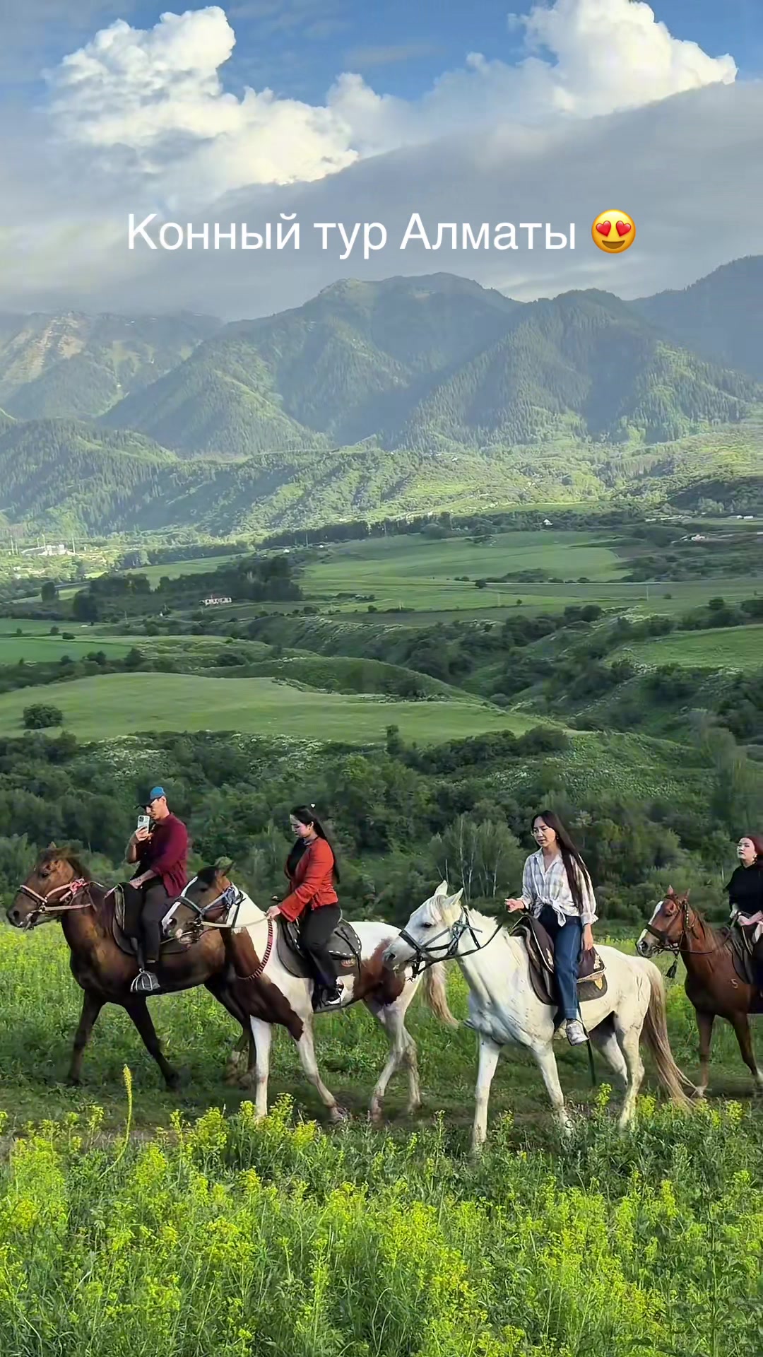 @tulpar_horses