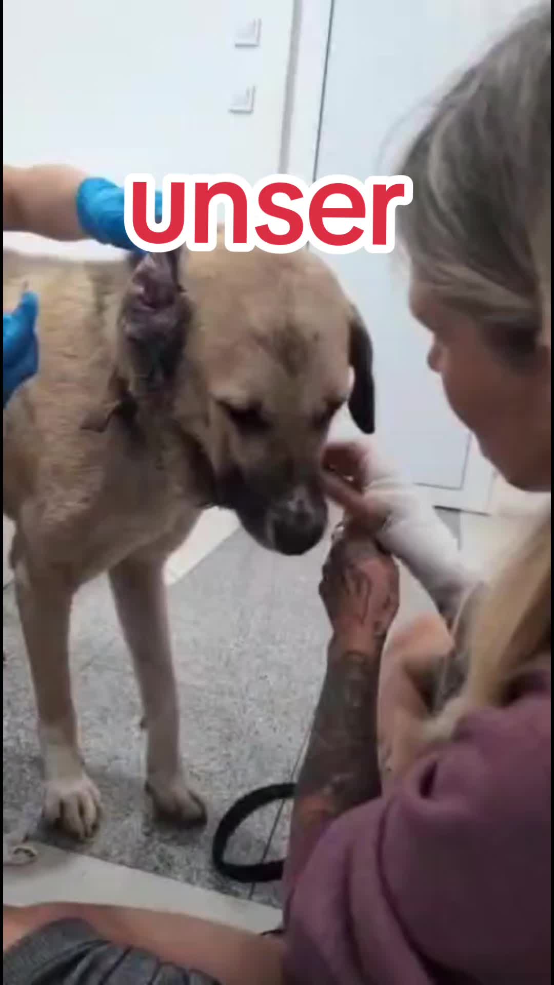 @ShelterBande