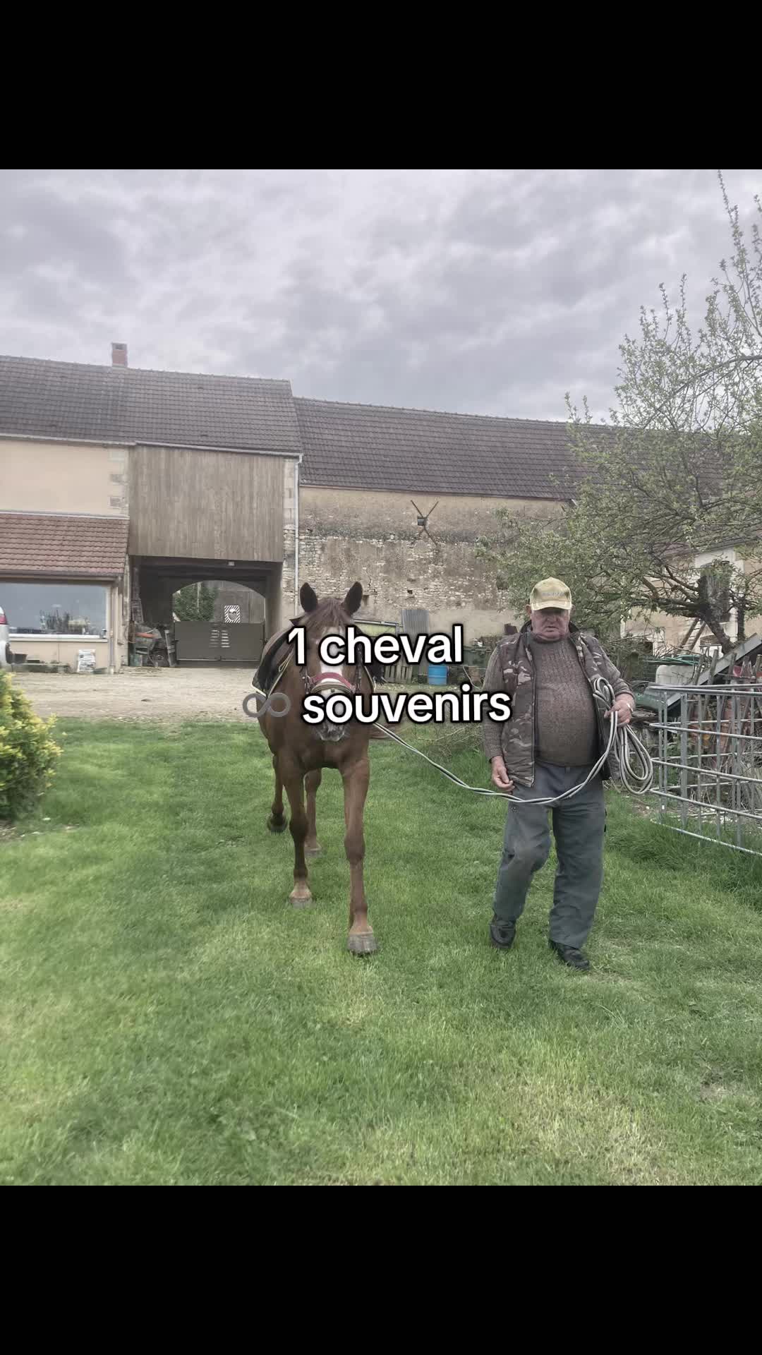 @user.353