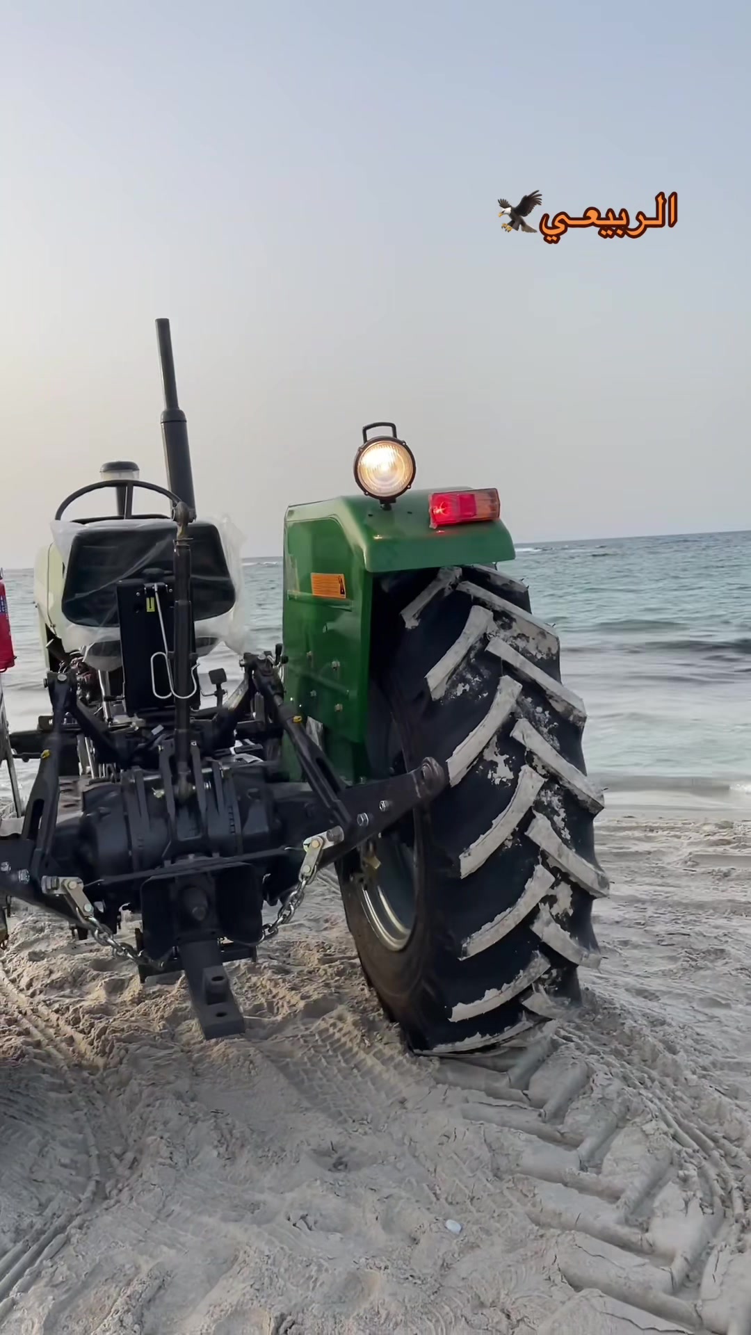 @بيلي بـانڪـــو جـذع🛠🦅