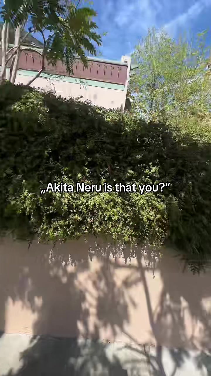 @Anoi