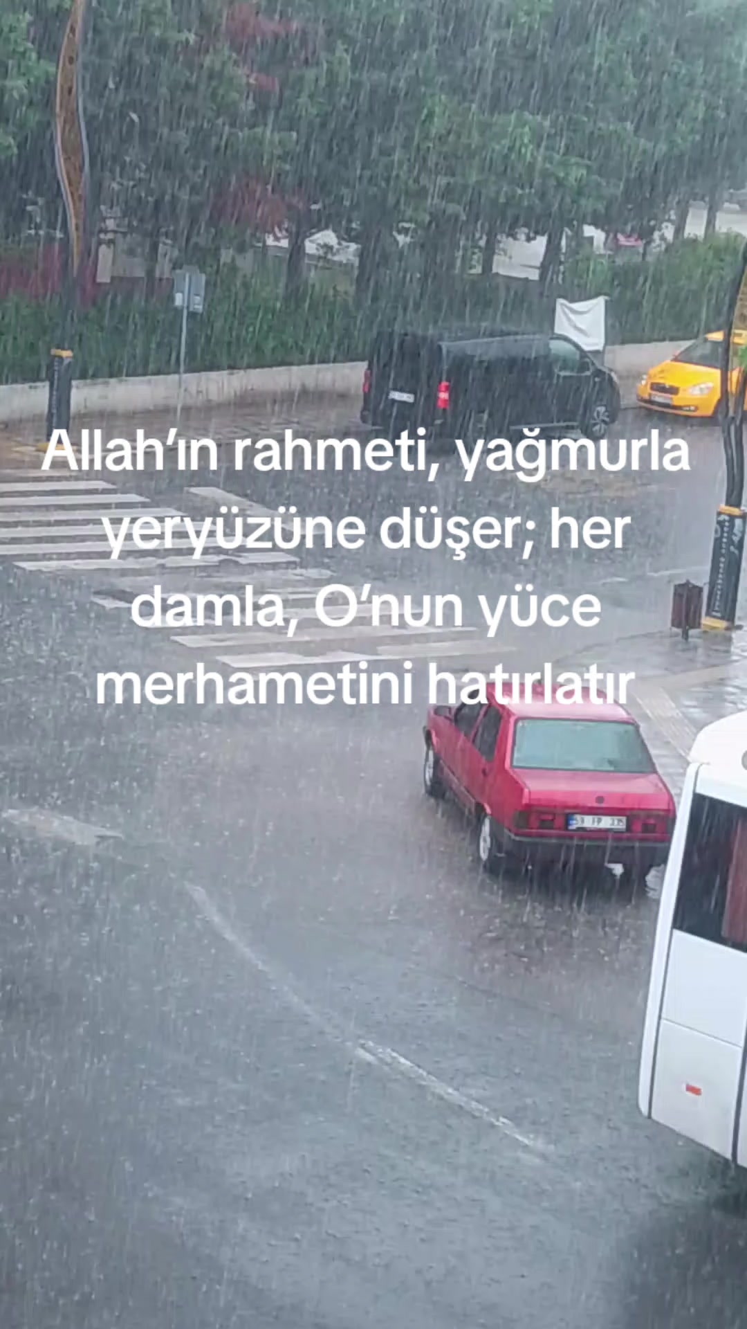 @⭐ SEVGİNİN -TÜYOLARI