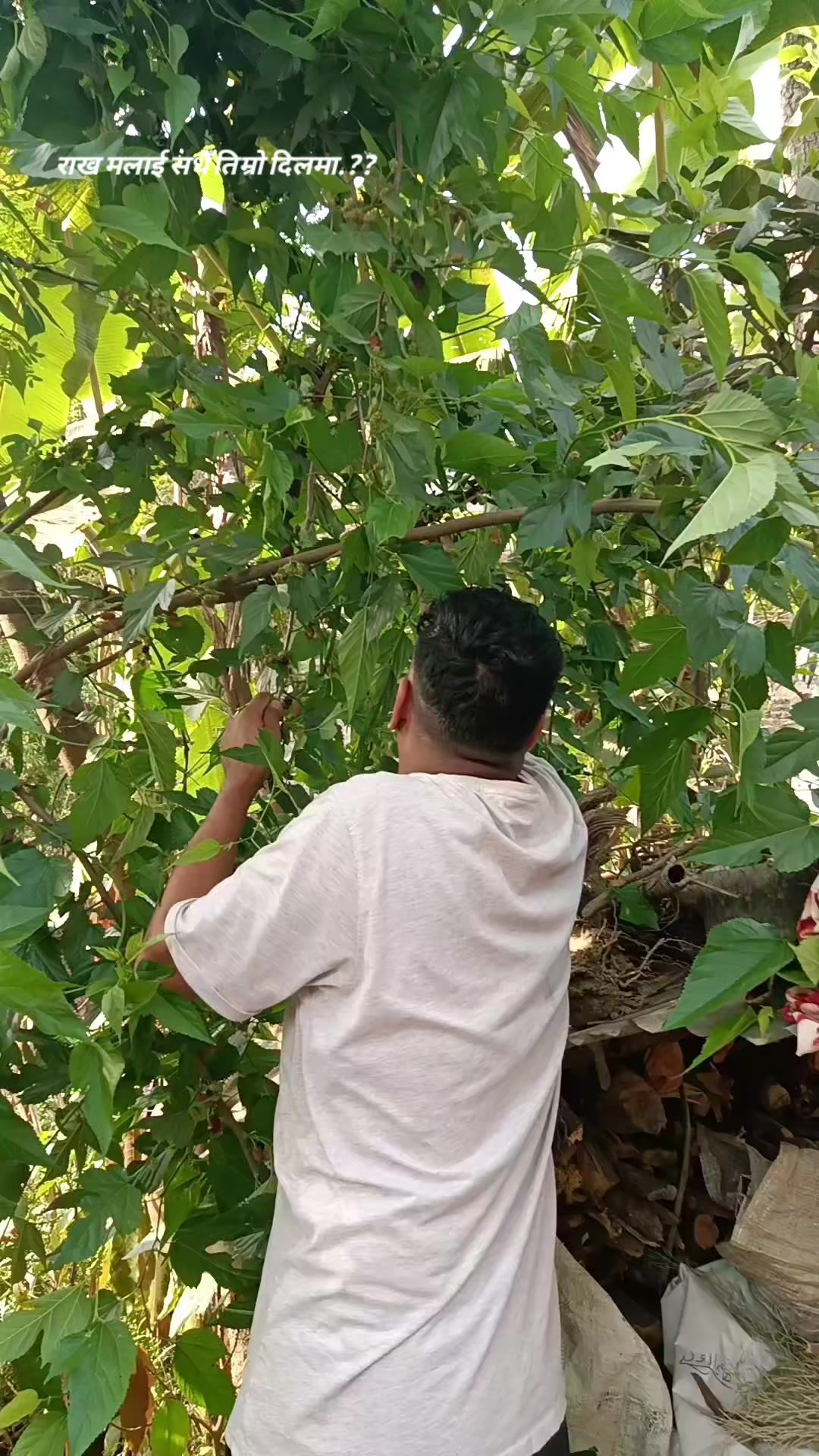 @Mr_पुरन भण्डारी
