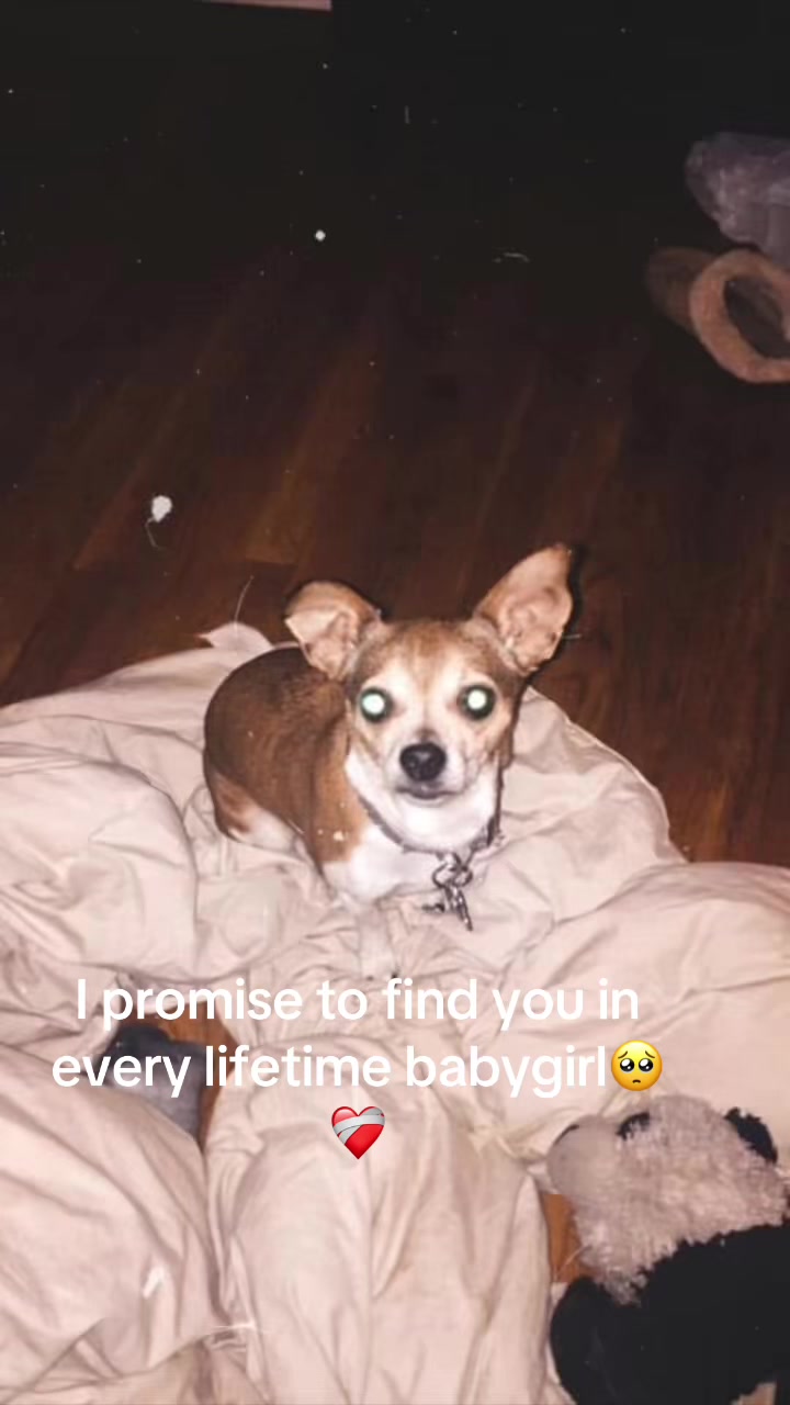 @Lil_heartlessssz