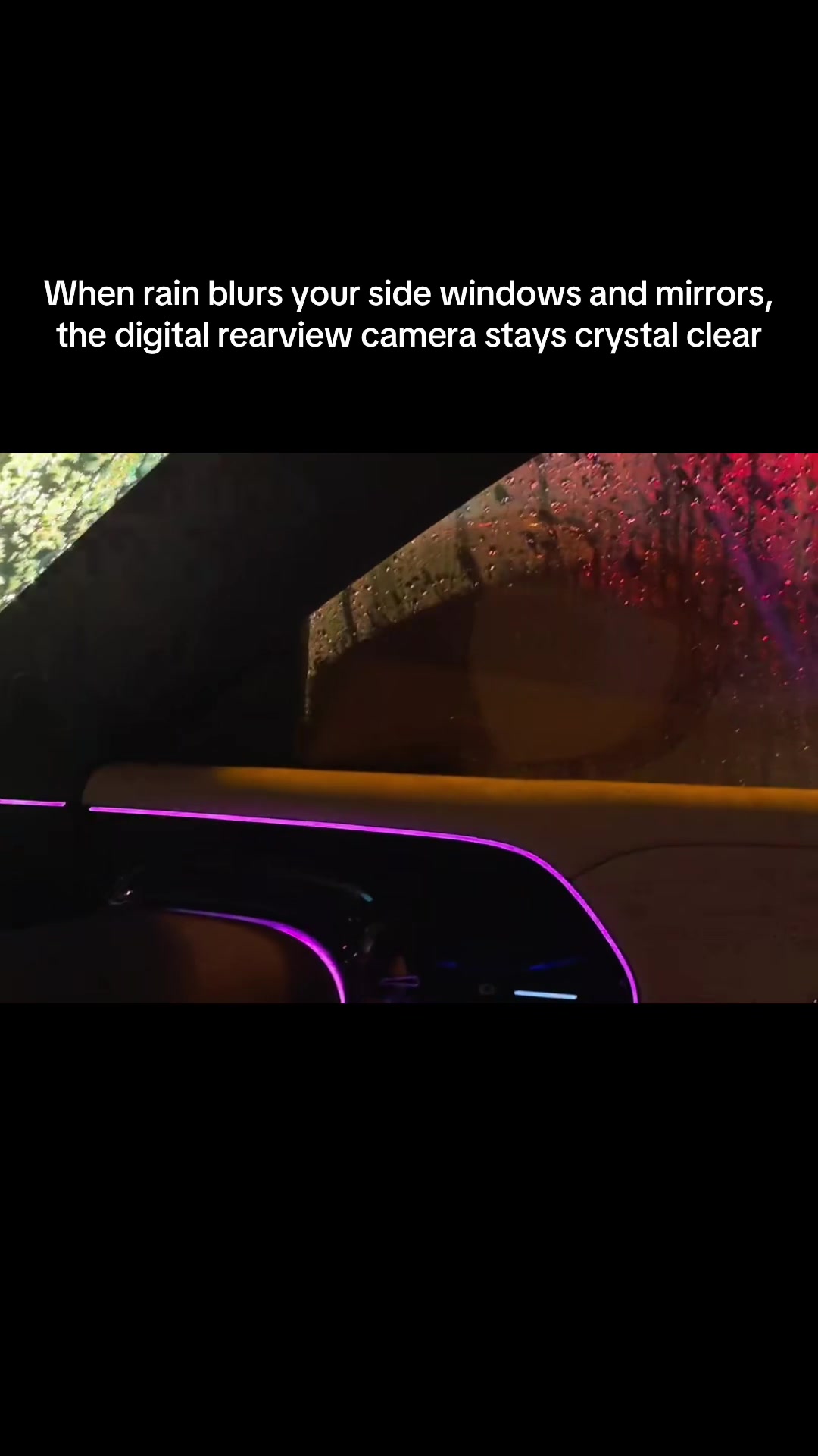 @China EV Reality
