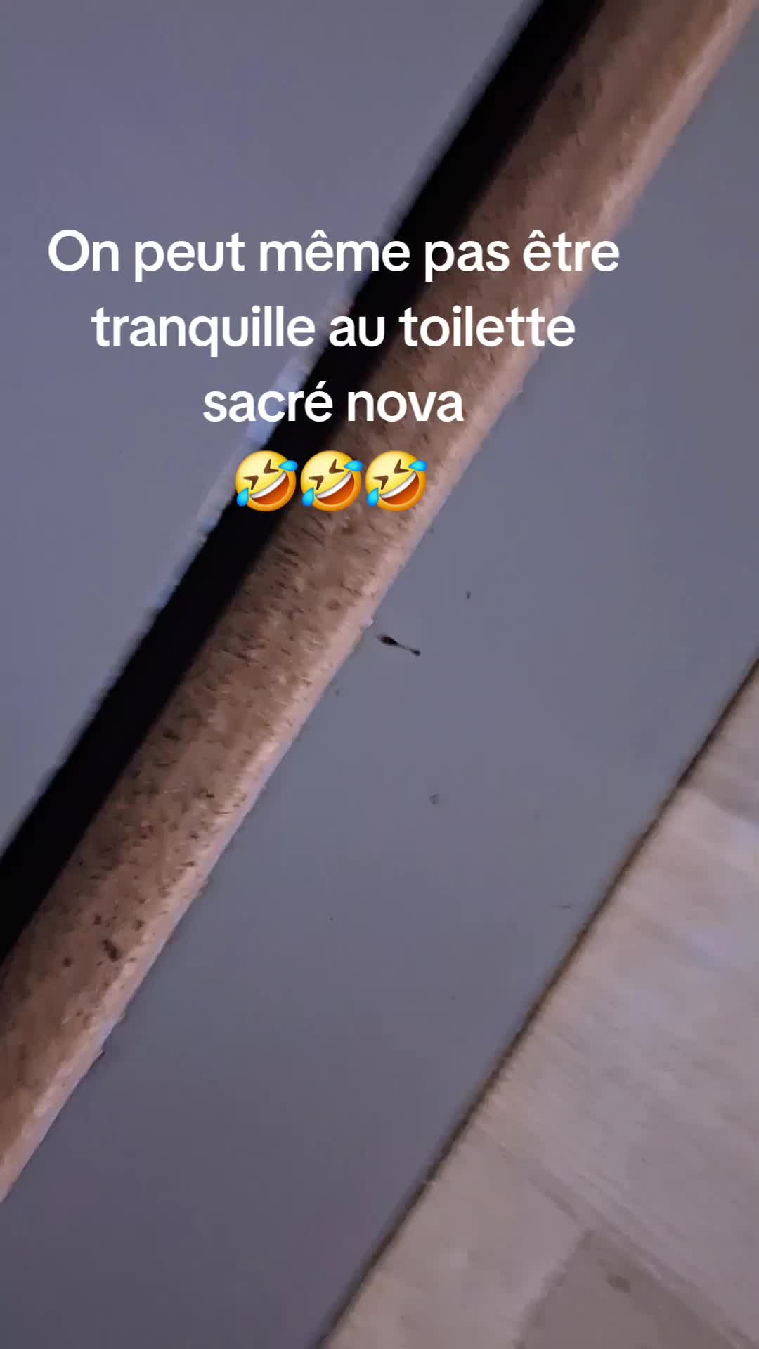 @seraphina