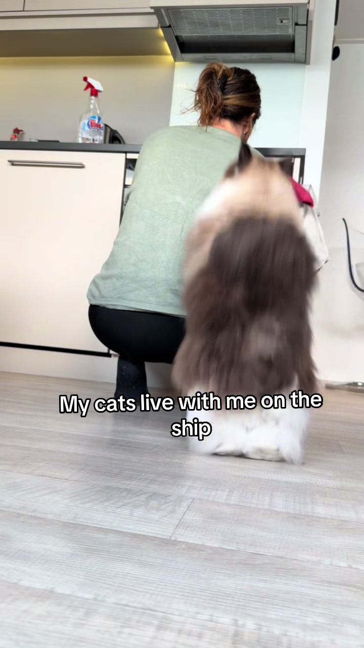 @Iris Dijs