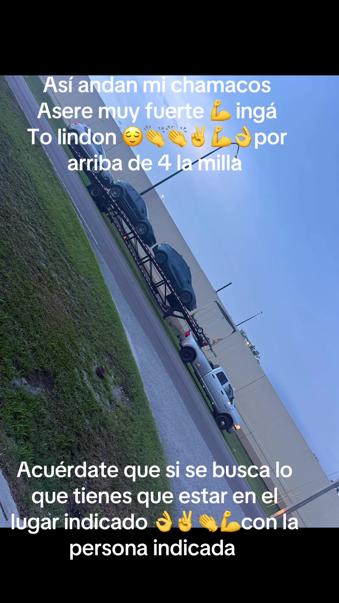@✌️El papá de los cachorros 🐶