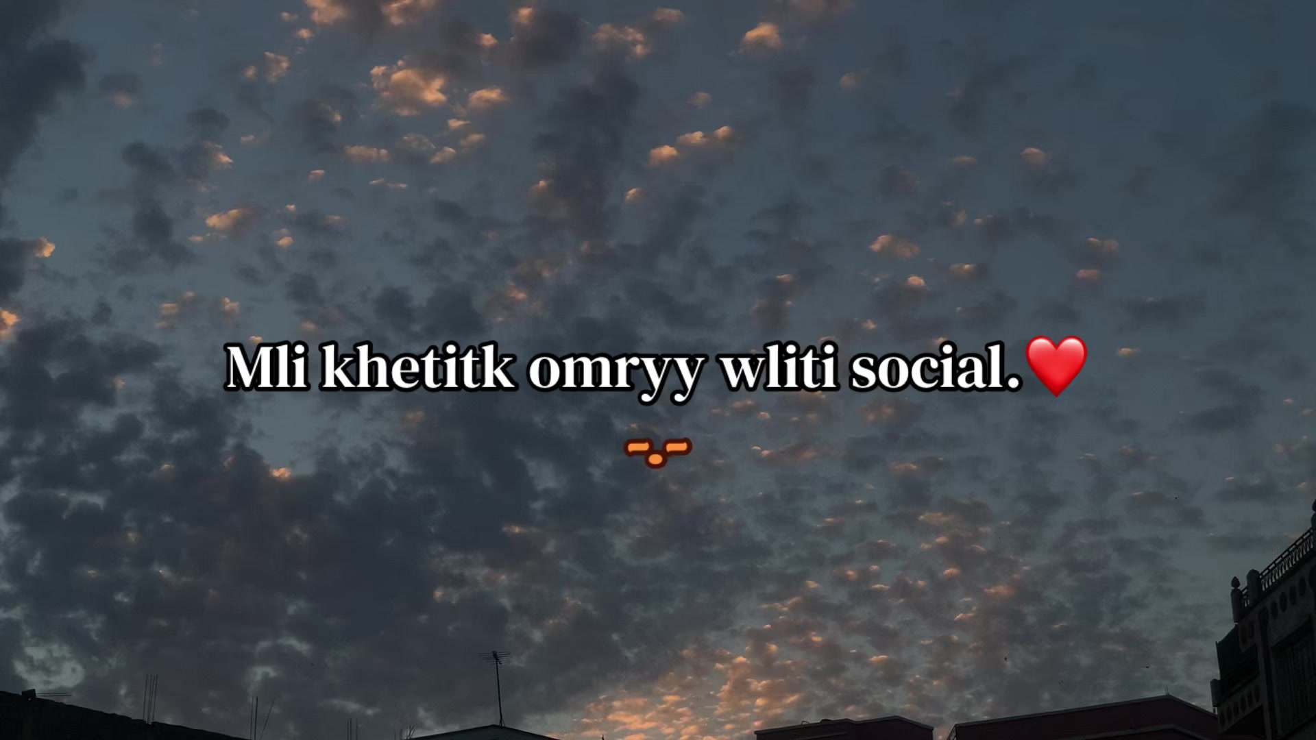 @🦇