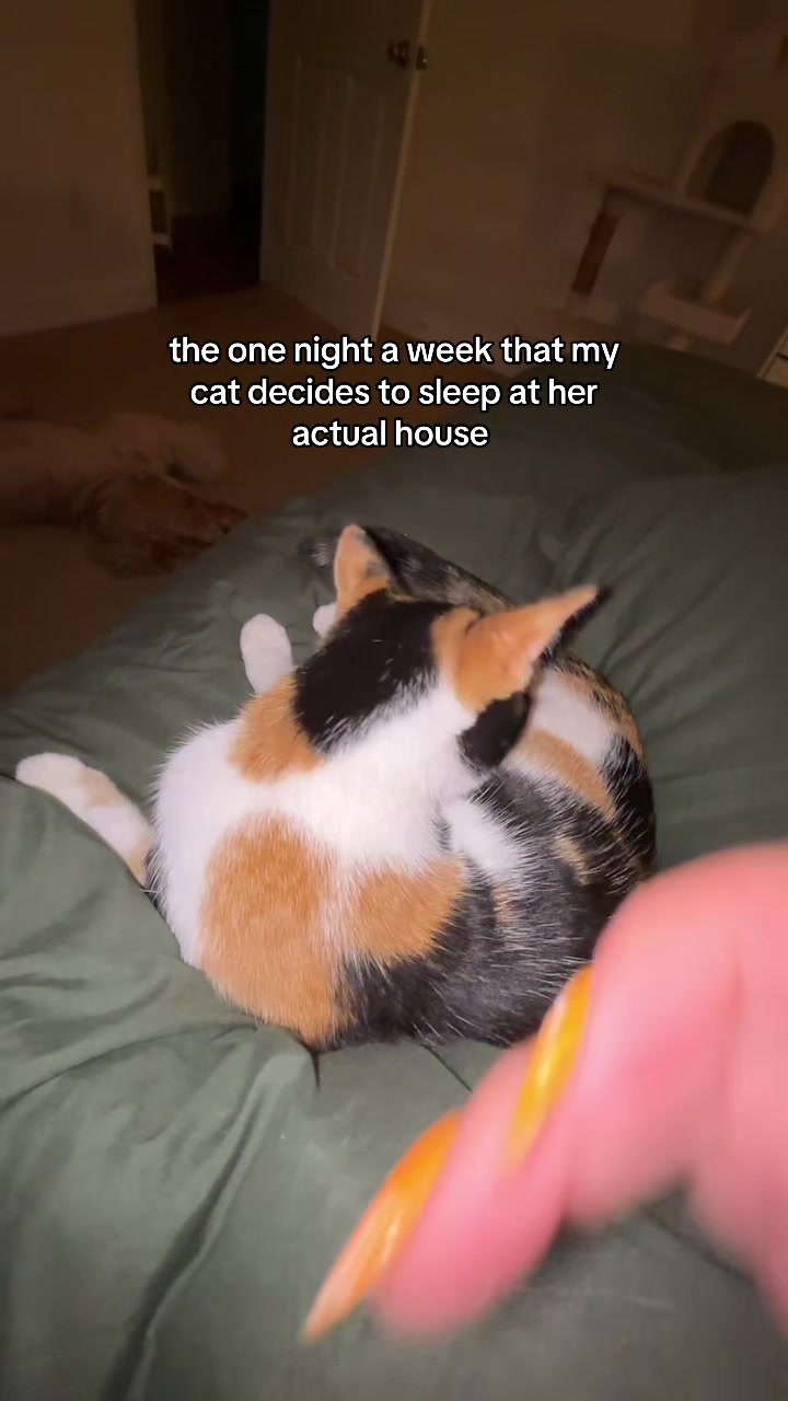 @rave | sahm