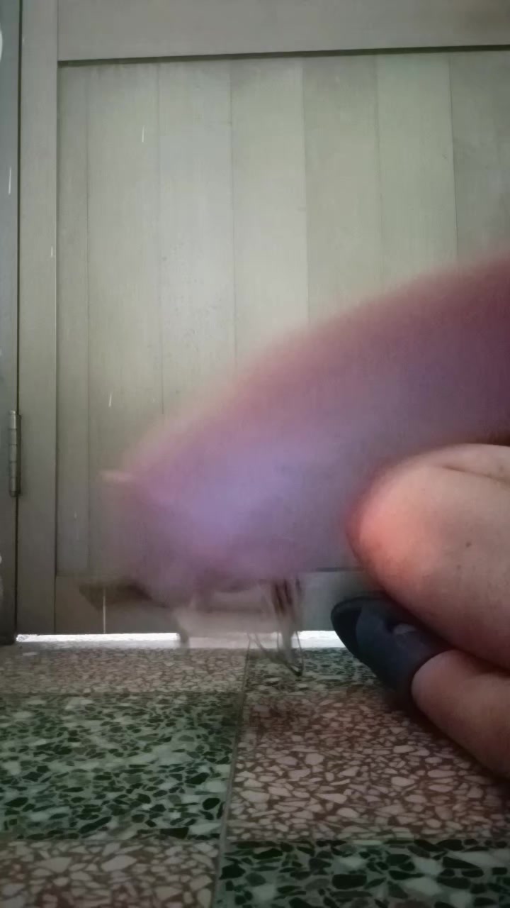@北勢寮保生堂