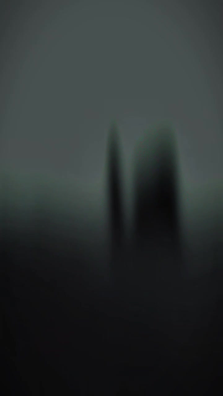 @piluy#7