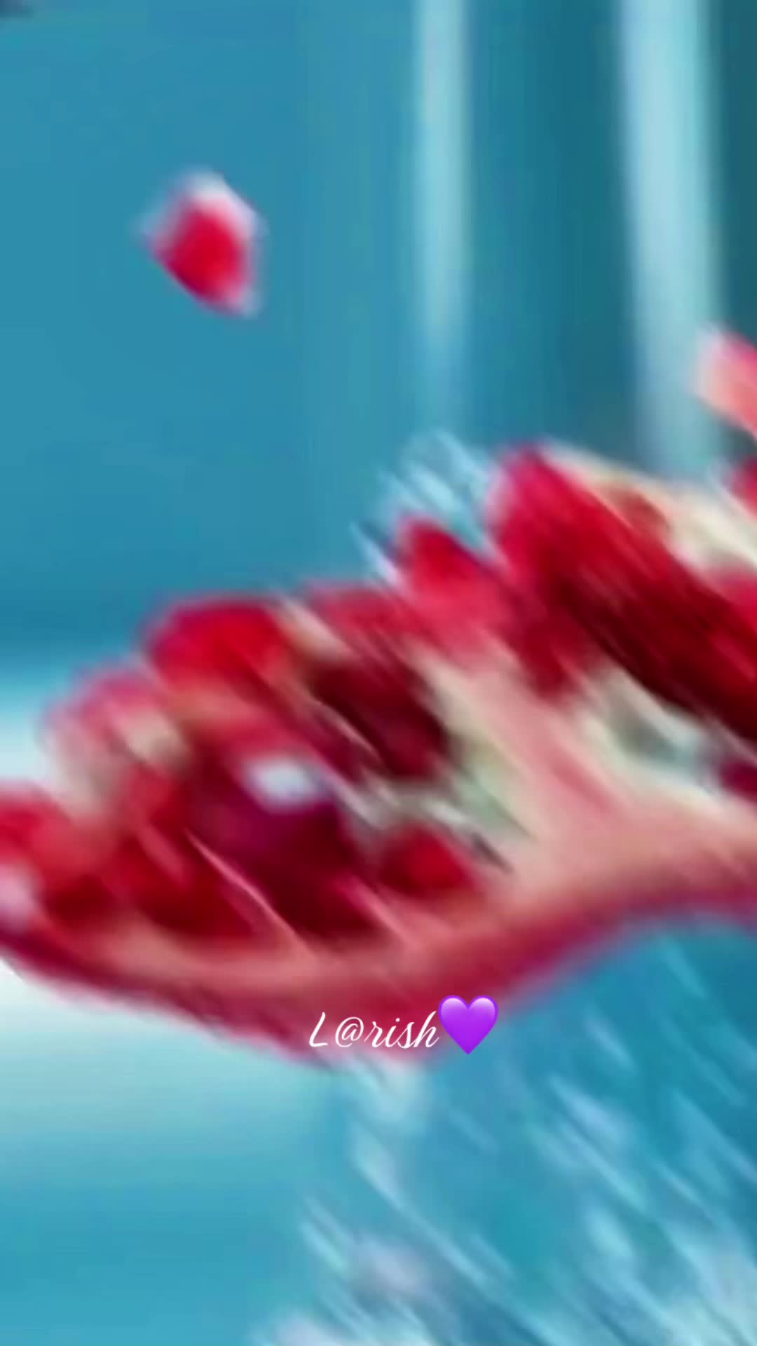 @L@rish💜
