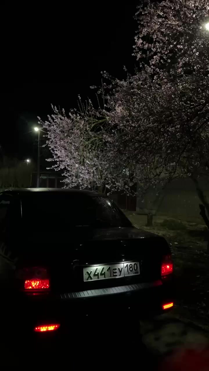 @gorbunov.0111