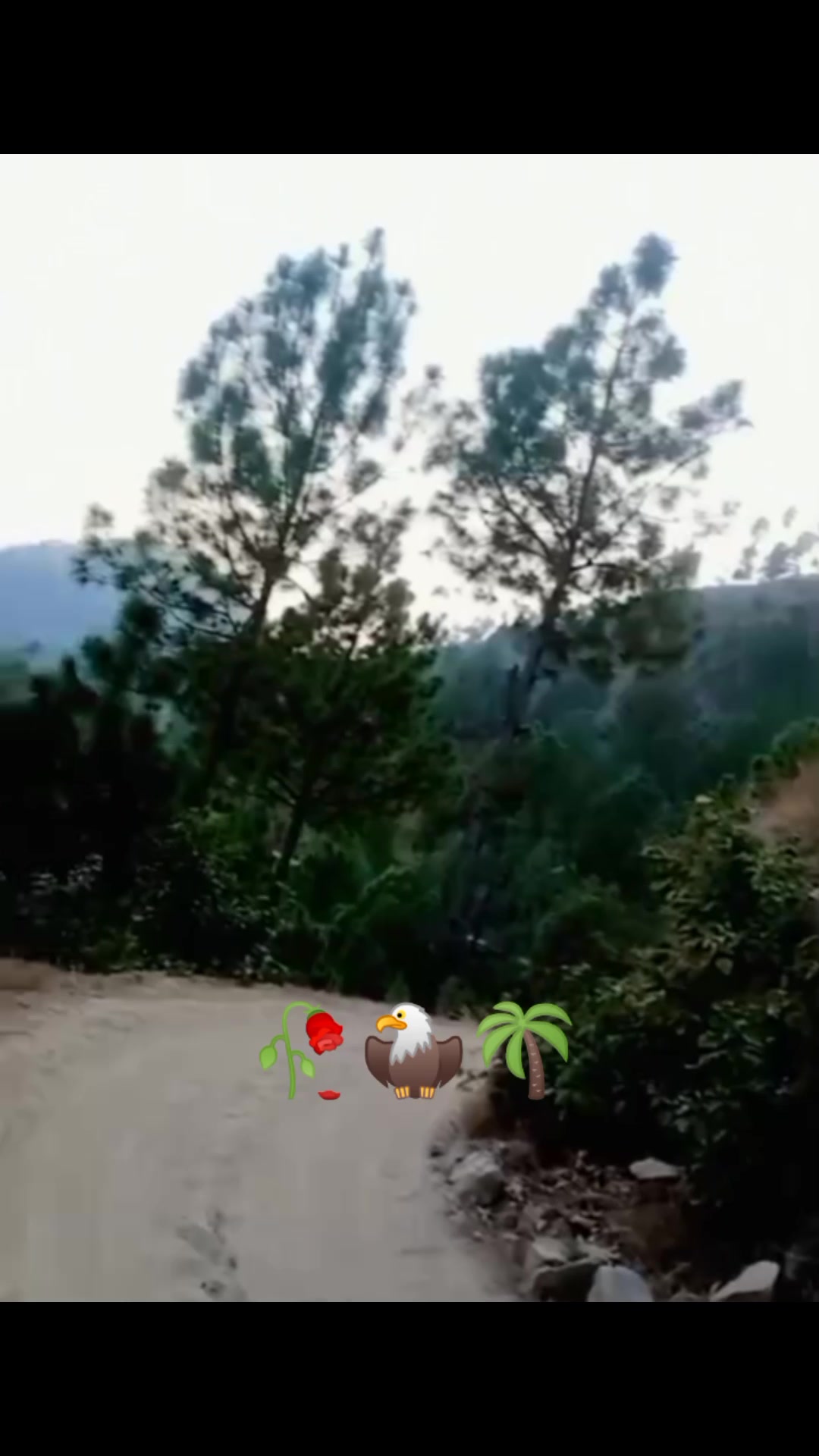 @"✌𝓜𝓾𝓱𝓪𝓶𝓪𝓭  𝓗𝓪𝓻𝓲𝓼✌"