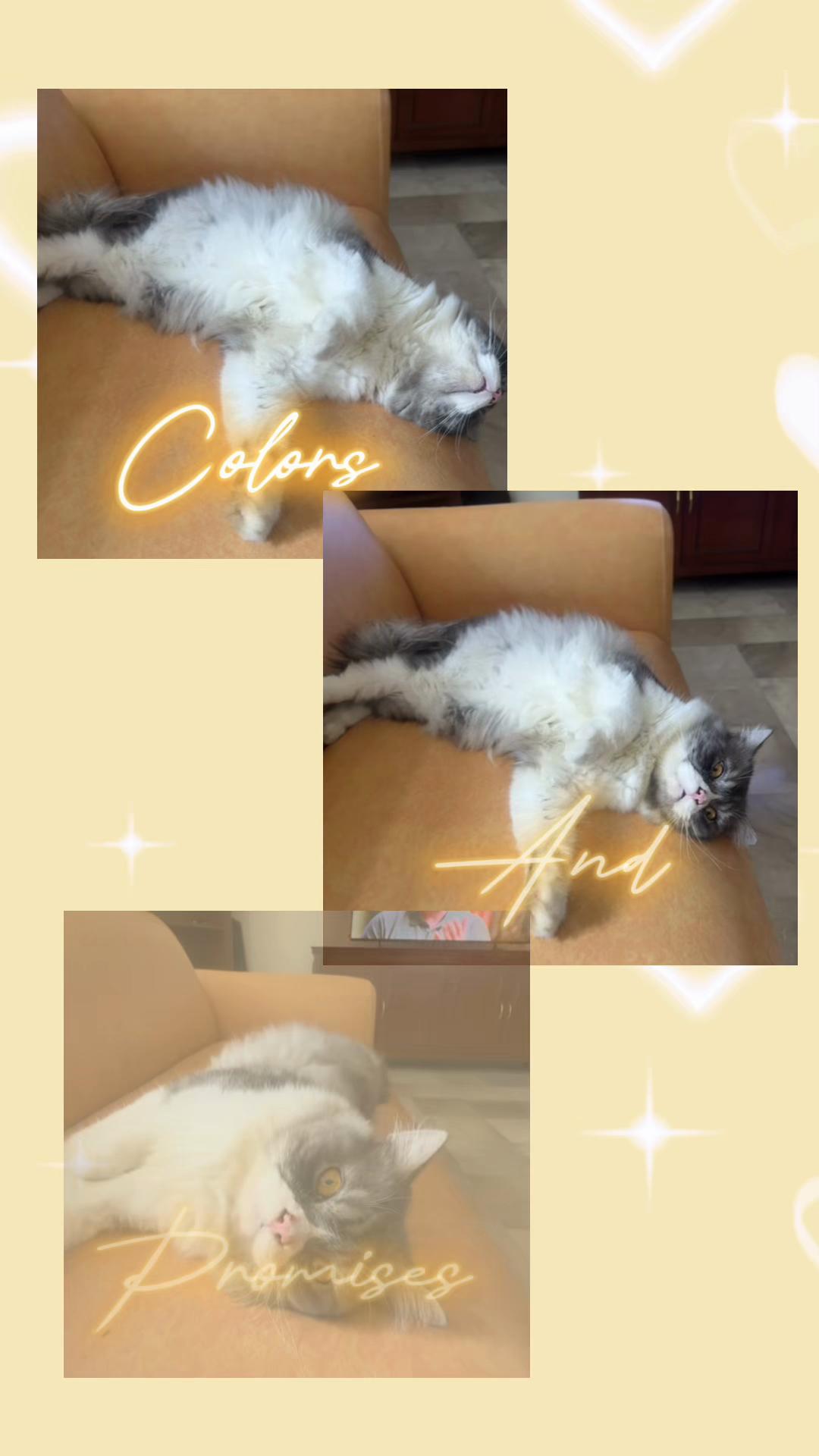 @🐱w!ne 🪺