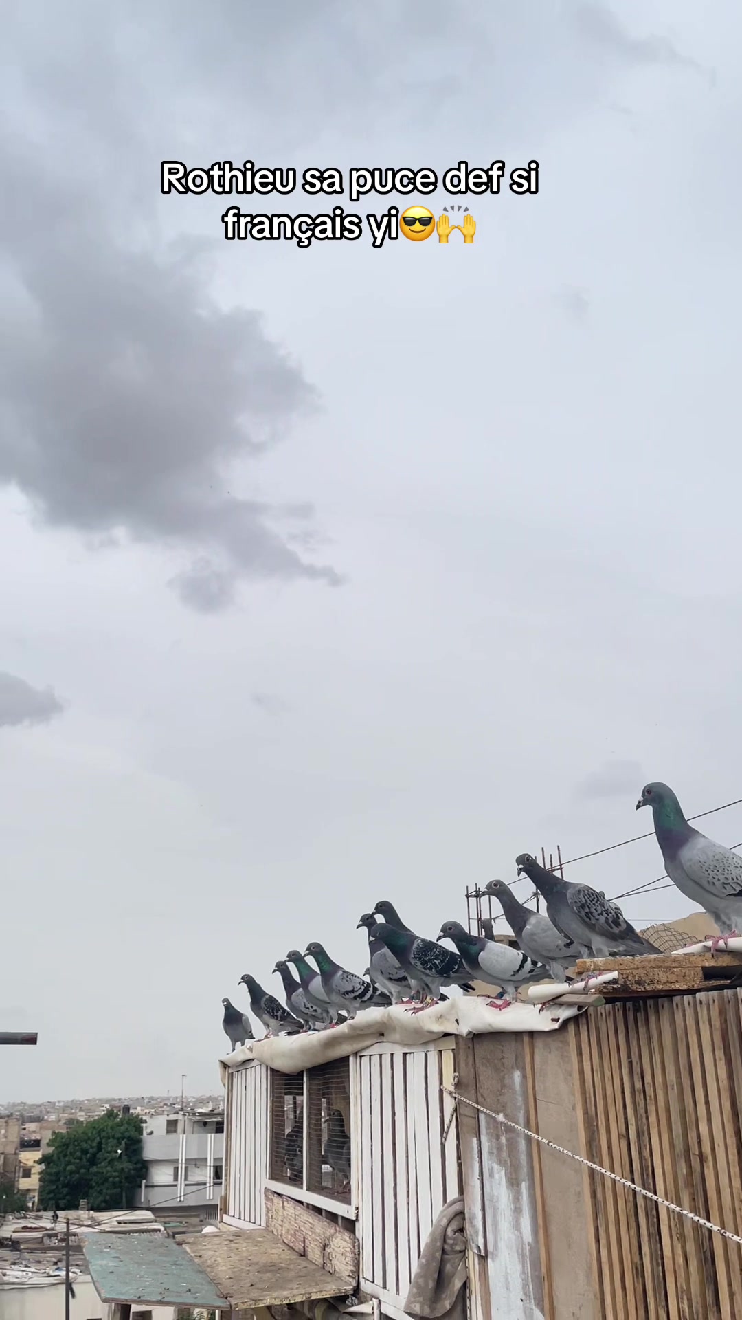 @OMZOLOFT🕊🦜🇸🇳