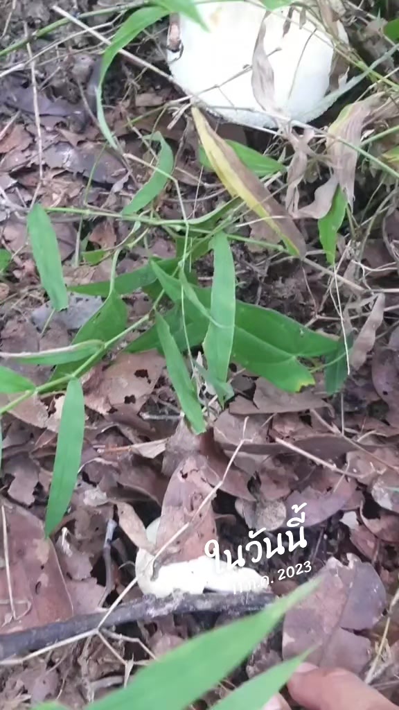 @kwanny24