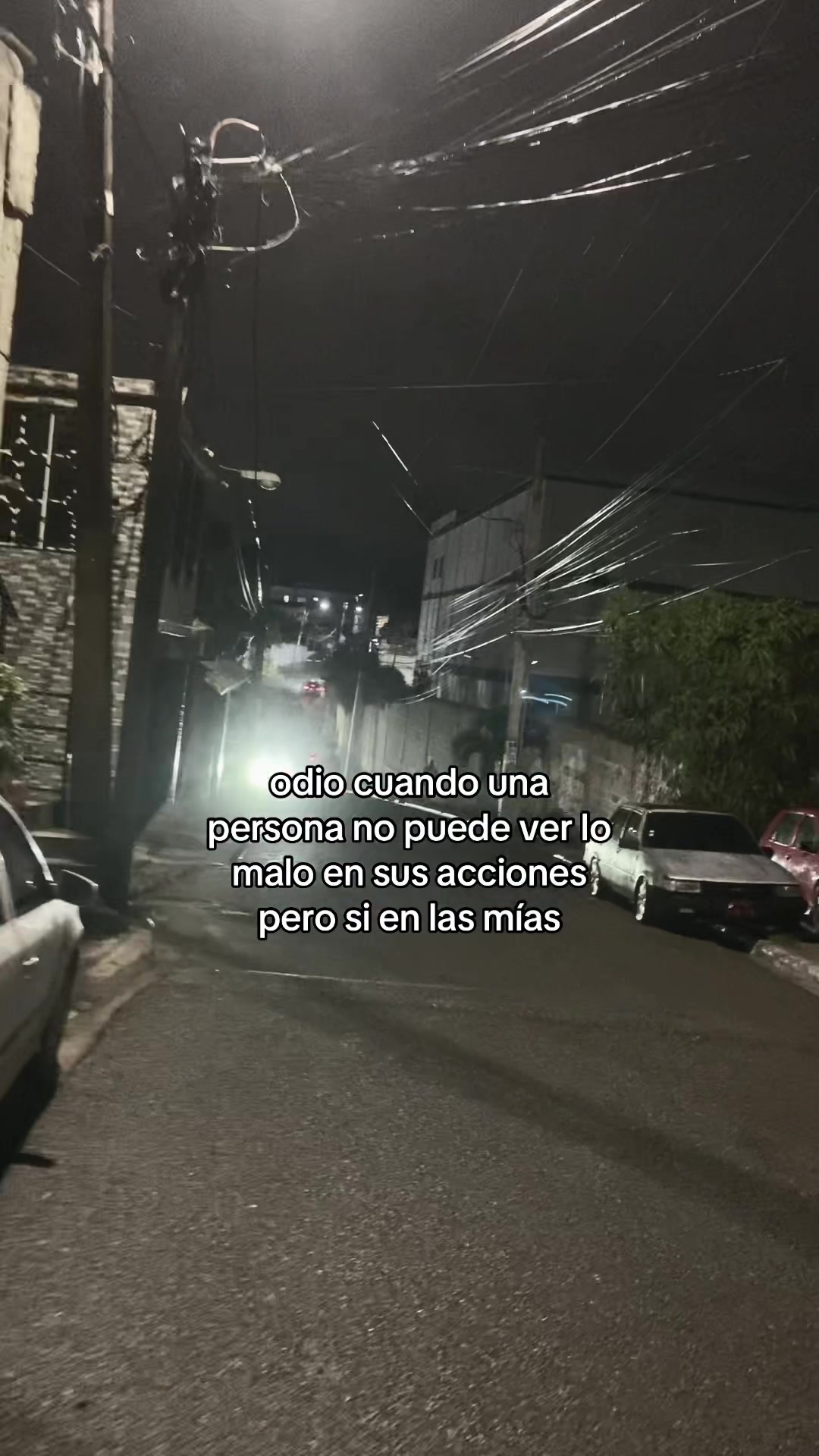 @Moquito 🦟👣
