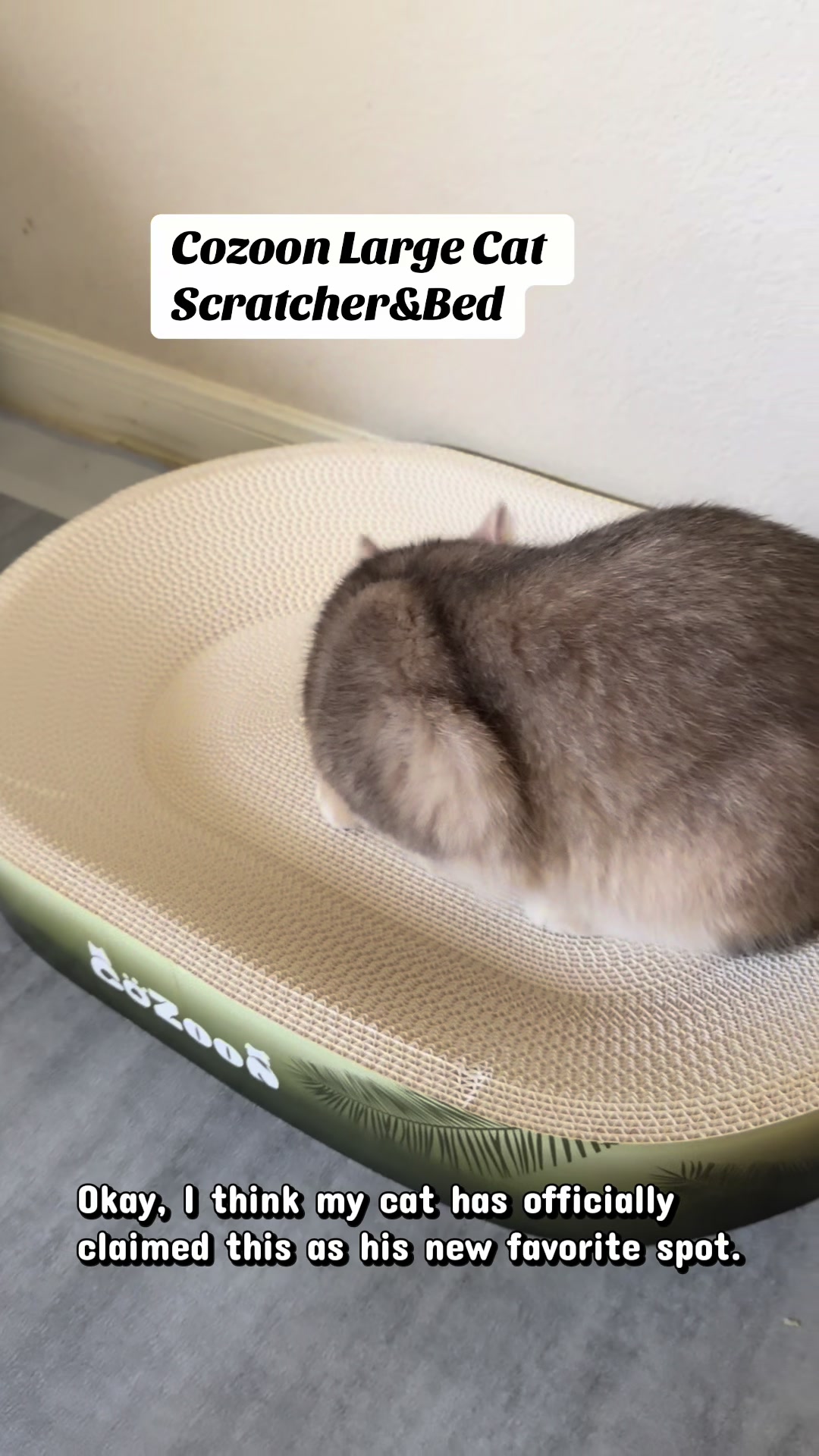 @catloveronthego