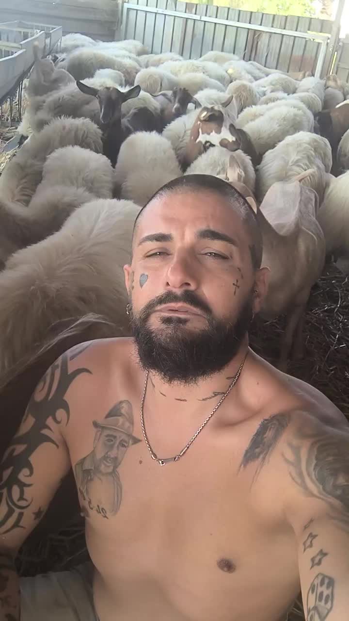 @Danieledipalmo