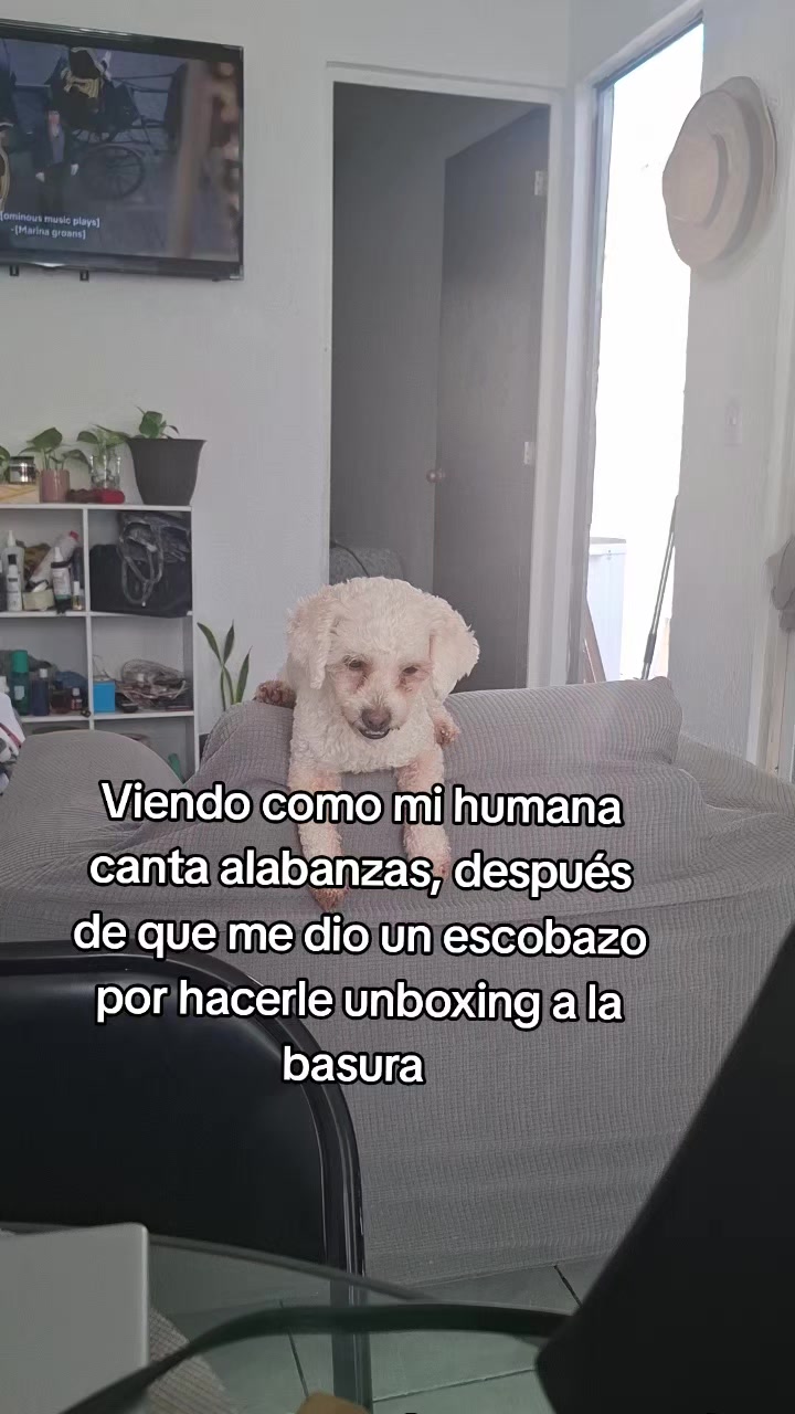 @Sarahi Huijara