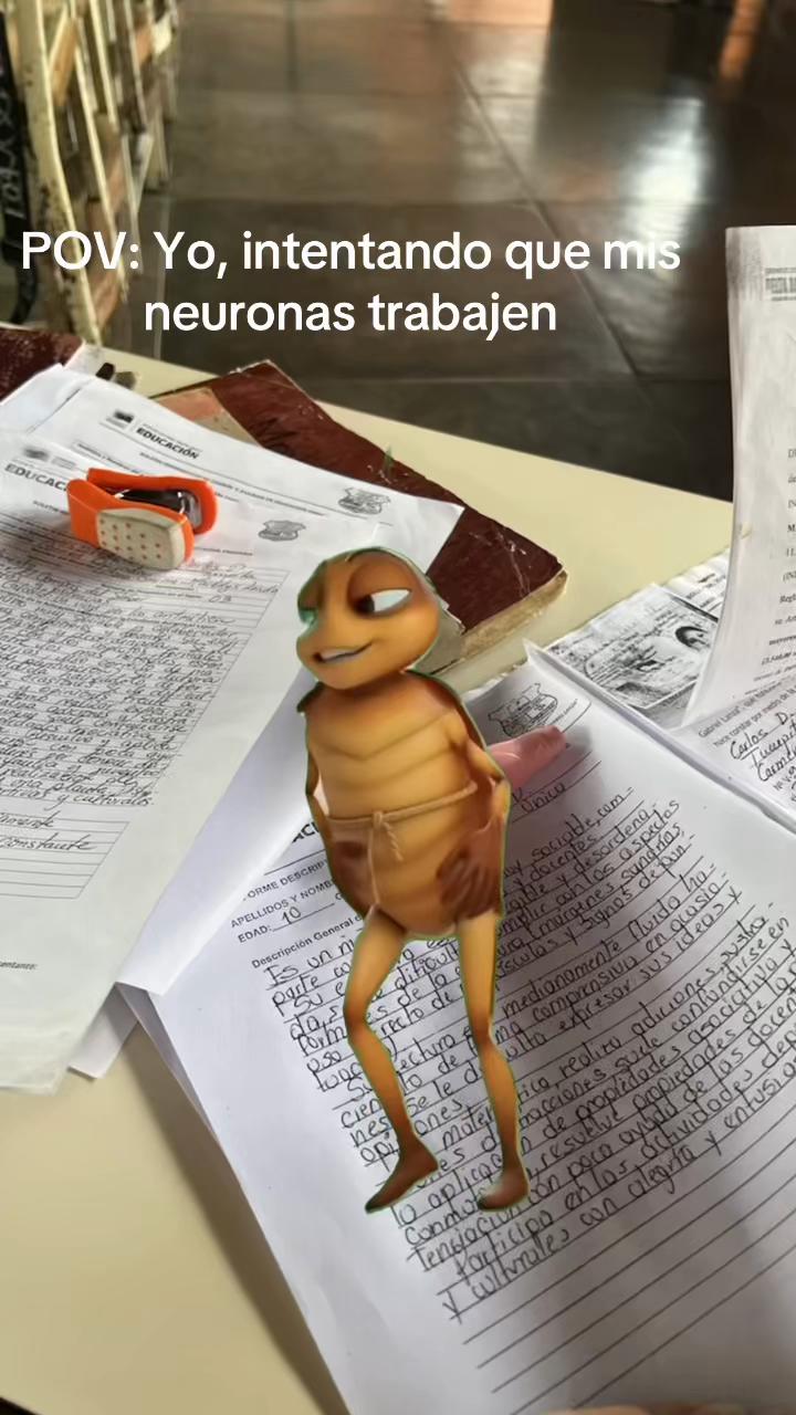 @Mai
