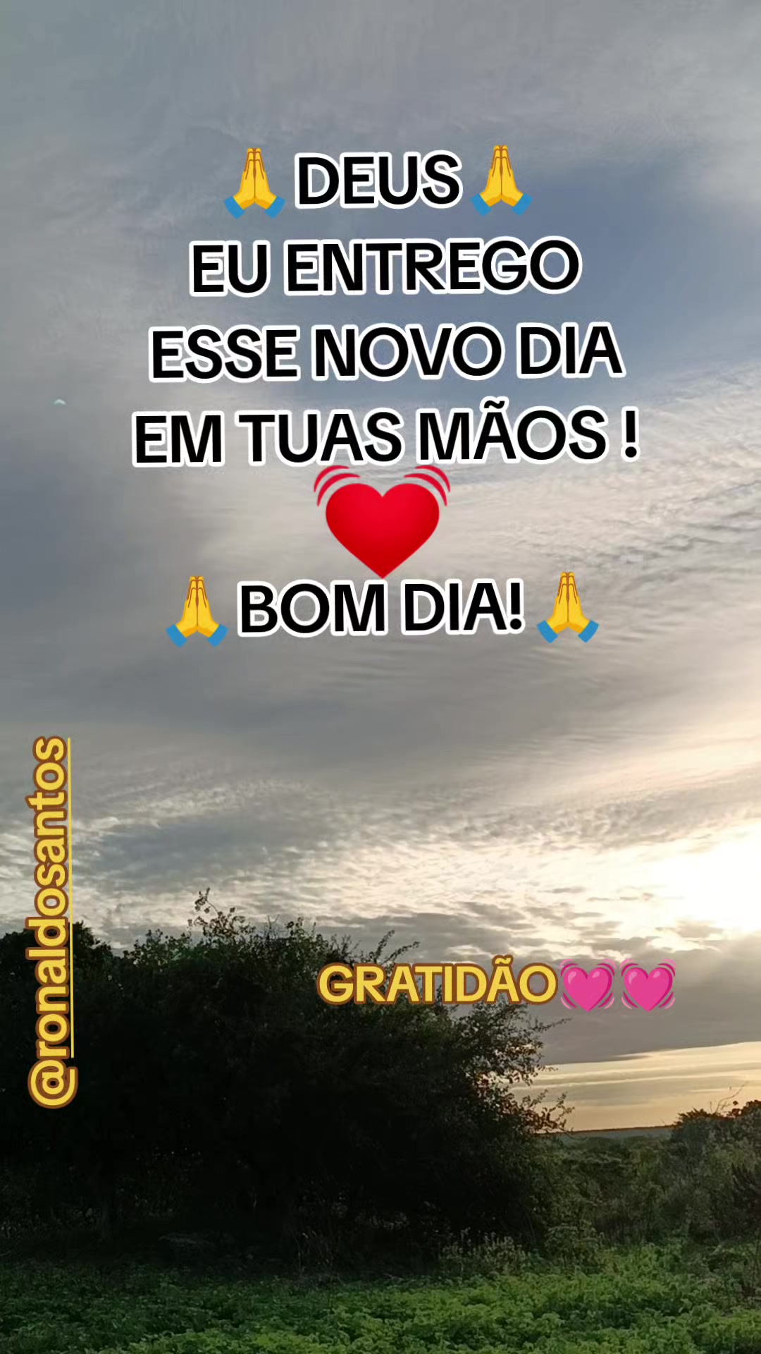 @ronaldosantos