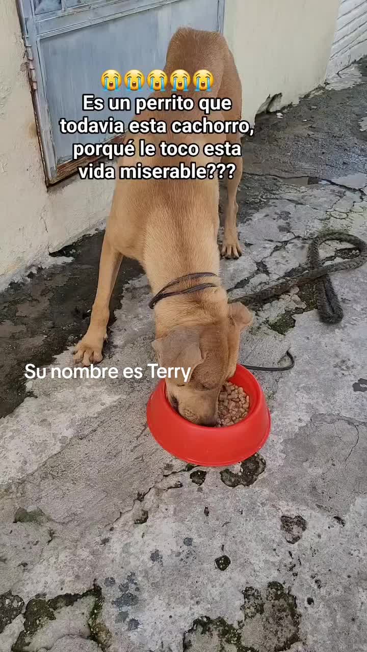 @𝕃𝕚𝕤𝕤 ℝ𝕖yes🇸🇻