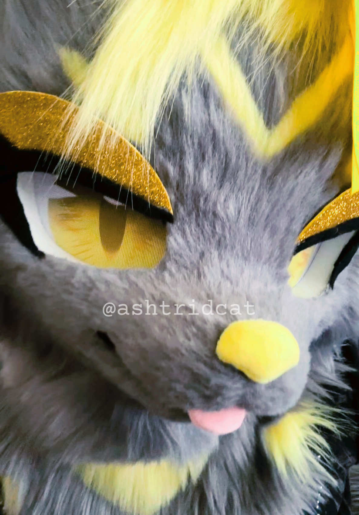 @AshtridCat