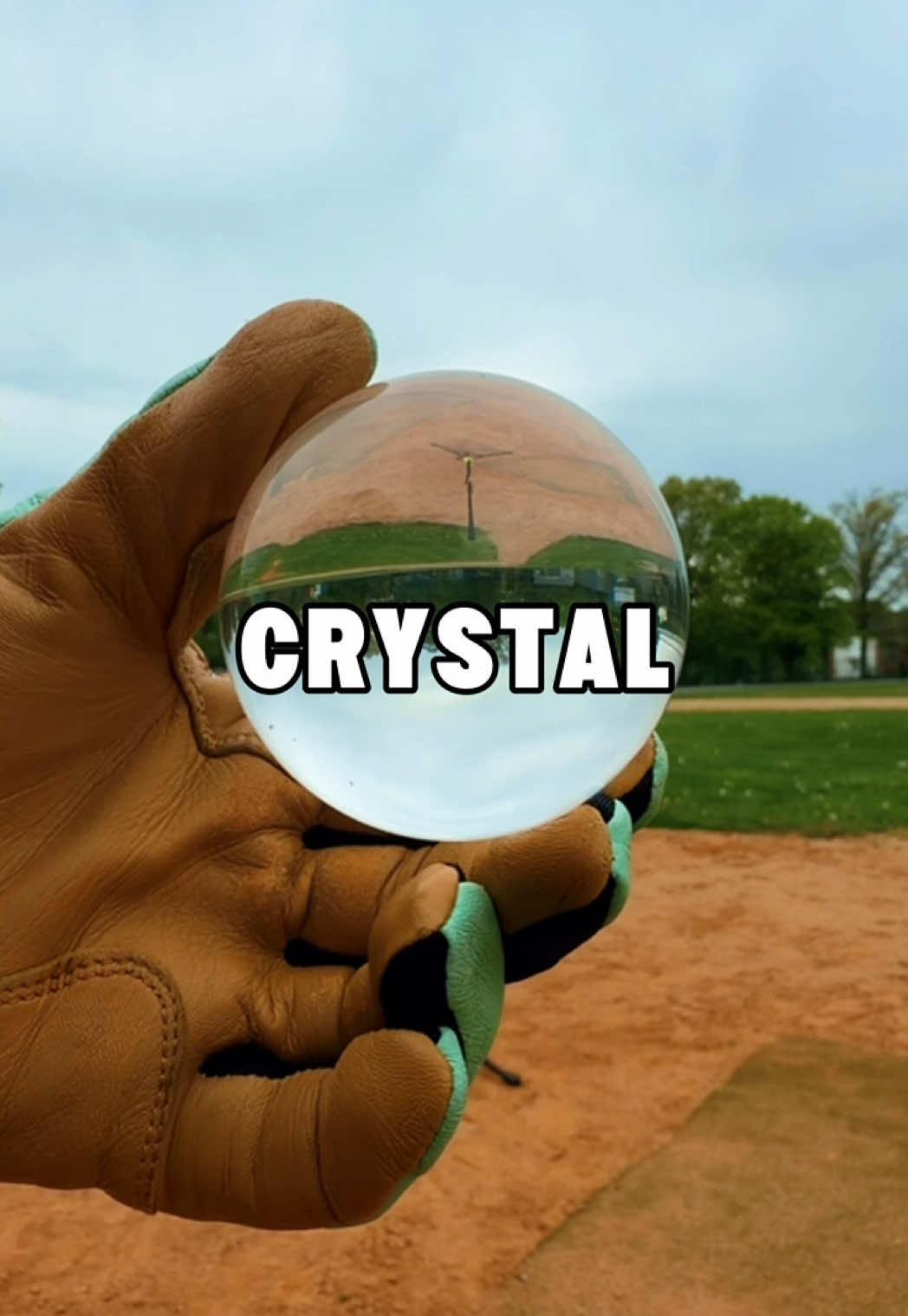 @White Rose Baseball