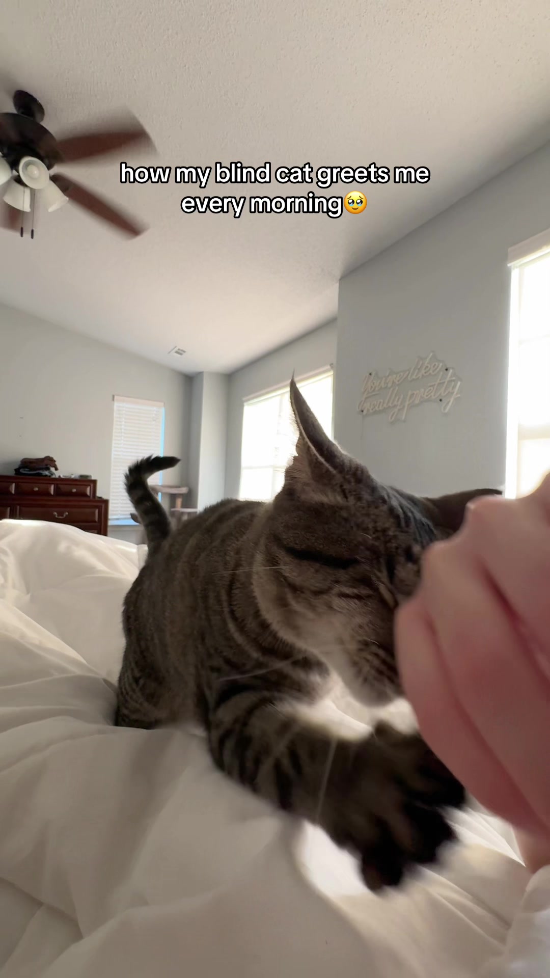 @𝘼𝙢𝙗𝙚𝙧 & 𝙎𝙩𝙚𝙫𝙞𝙚