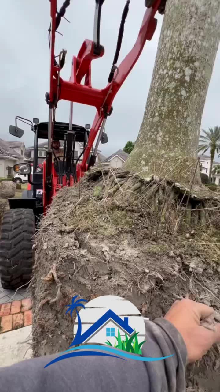 @southtideservices