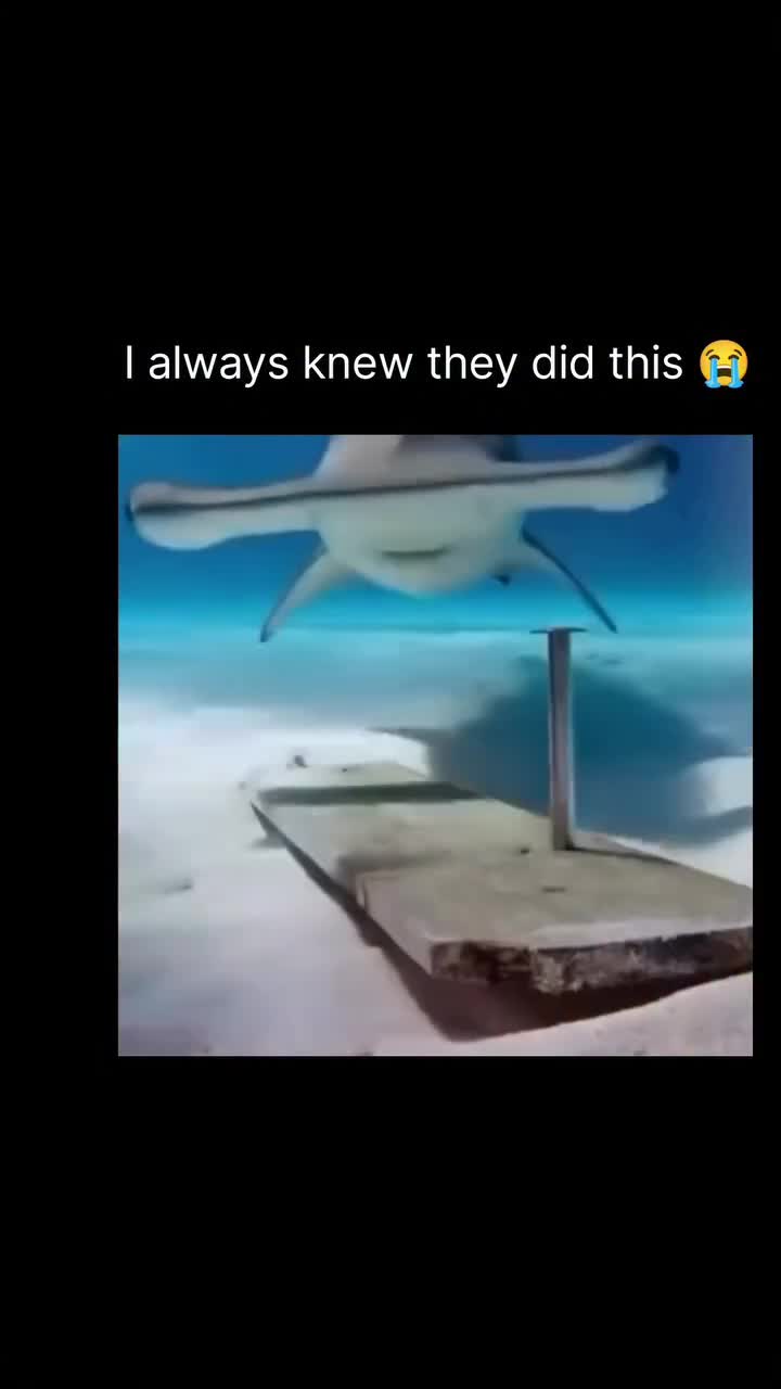 @Dylan Kasper