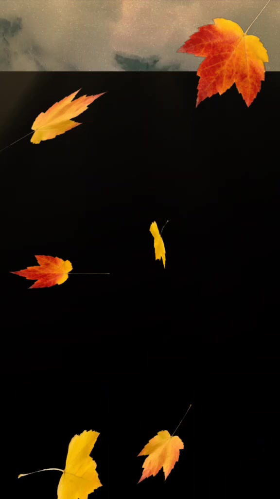 @fatma1313