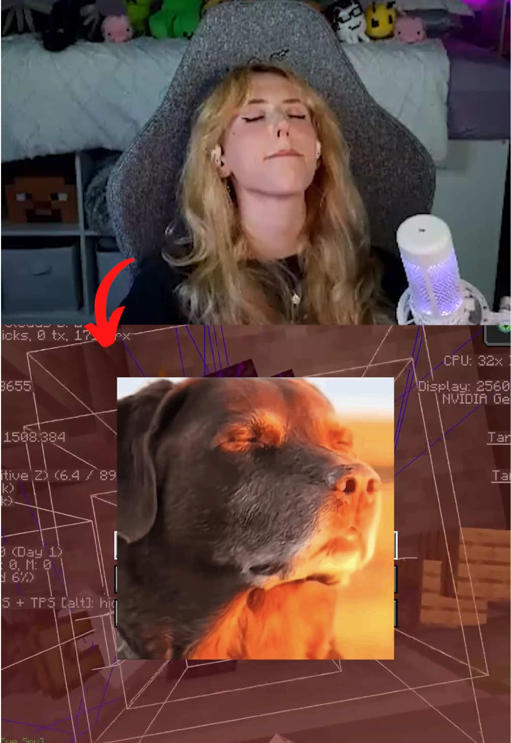@MewDew
