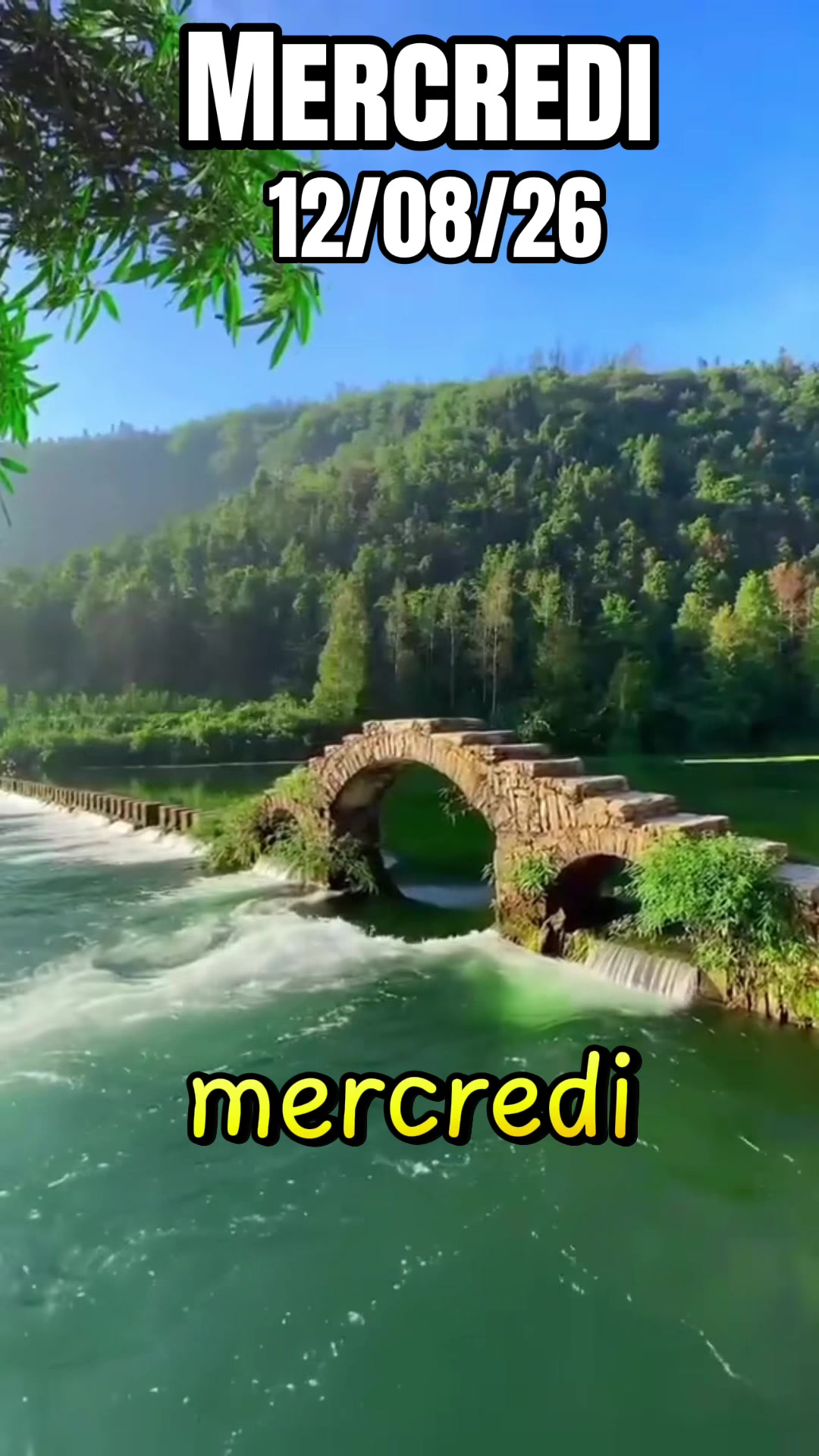 @𝕿𝖐𝖒 𝖑𝖆 𝖑𝖎𝖔𝖓𝖓𝖊