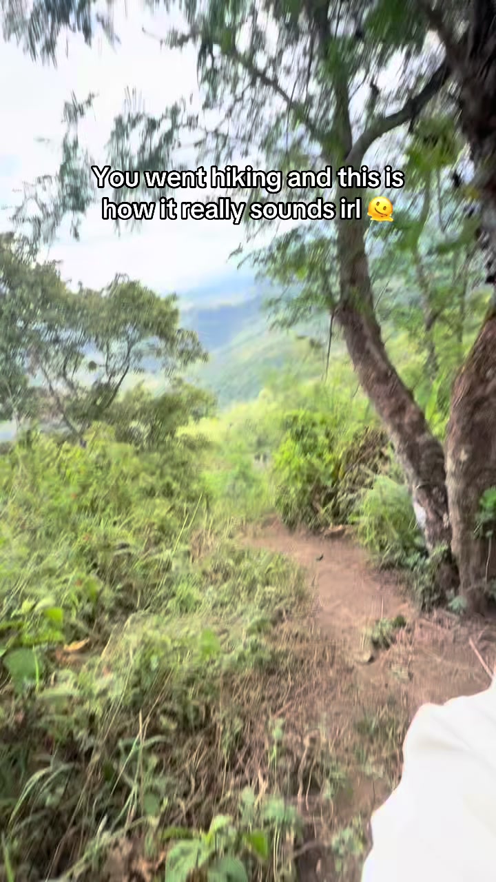 @collaaaaay