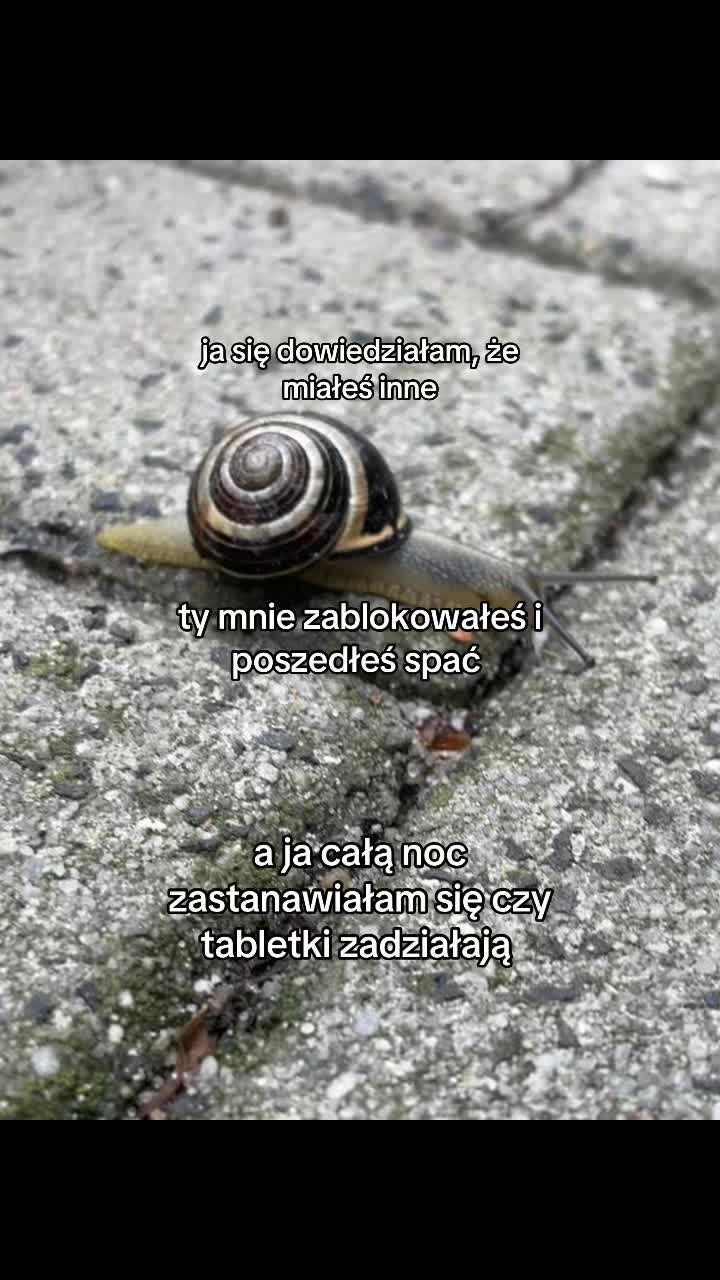 @๐ชฆ