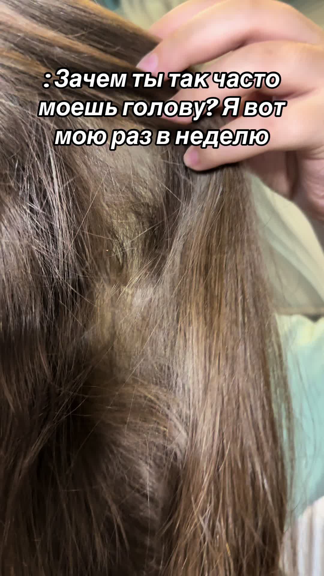 @Сиамская кошка 🐈🤍