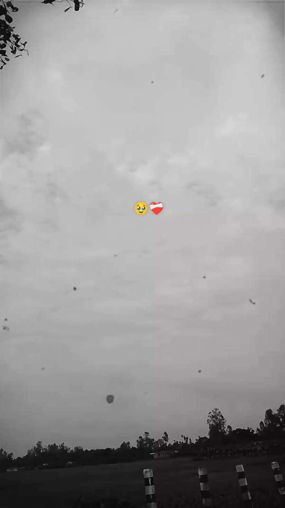 @ASK. SABBIR🚭🚭