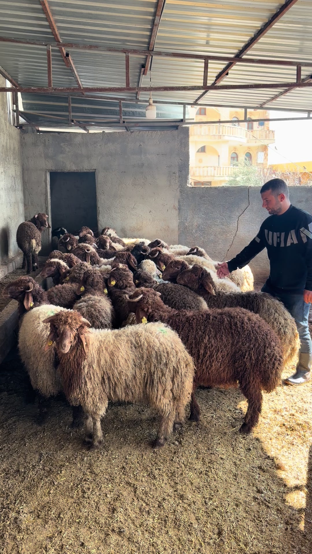 @Sefa cırık