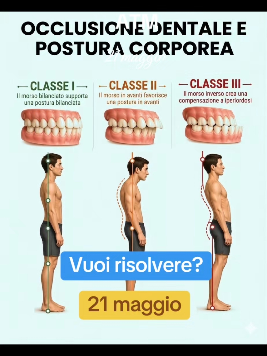 @Lia Liretta