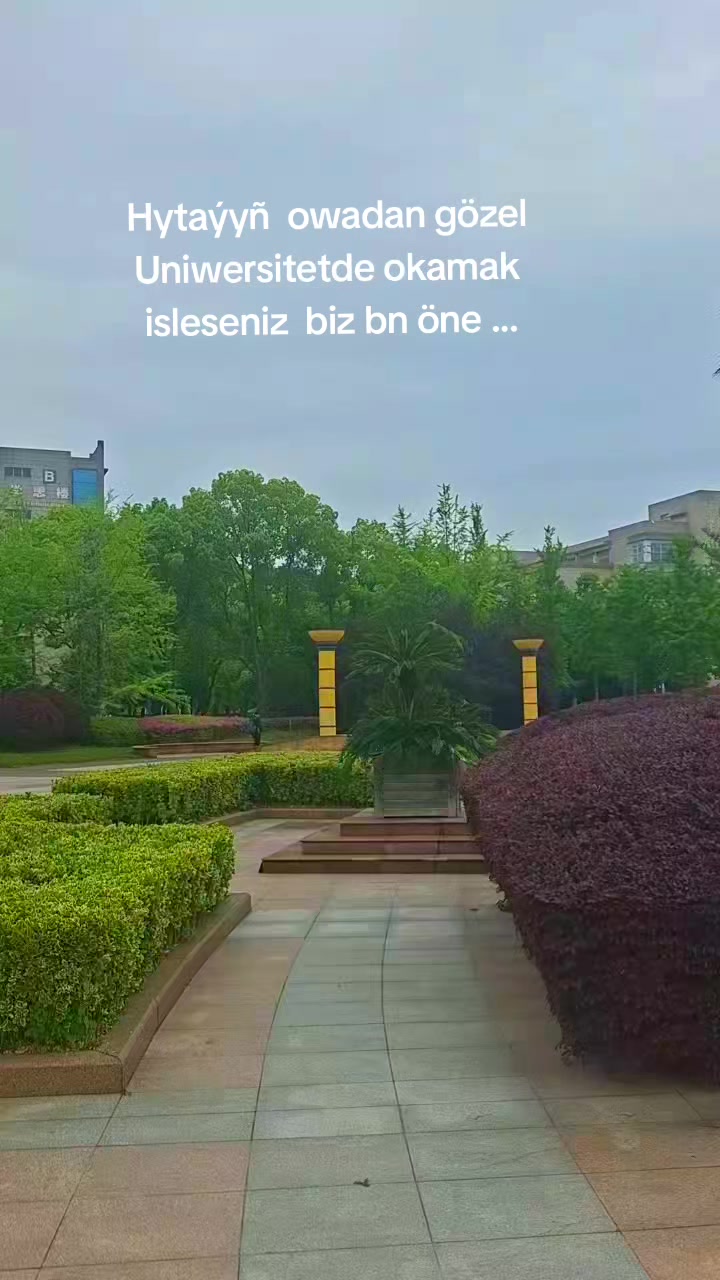 @Ylym we Sy&yacute;ahat