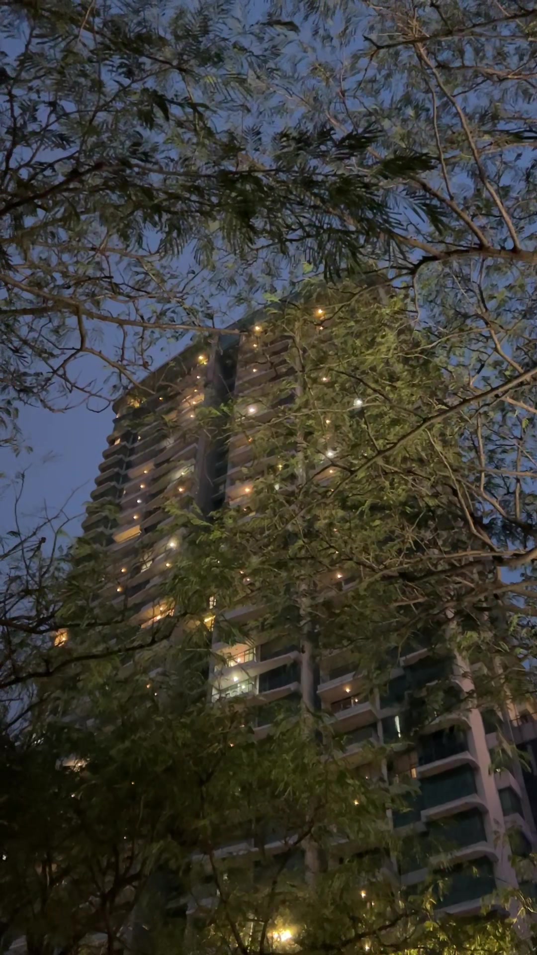 @kiranasari55