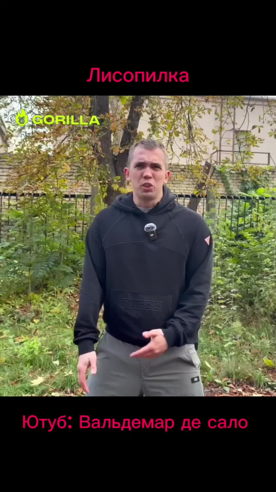 @Сало де Вальдемар