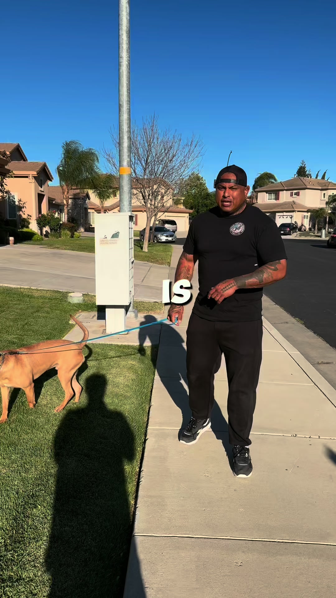 @Tactical K9s Dog Training