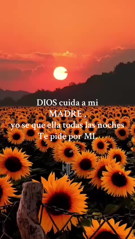 @M00N_Lover.87